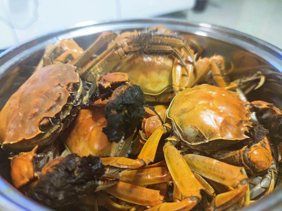 宮城の食文化を彩る牛タン伝統と革新が織りなす奥深きグルメ体験